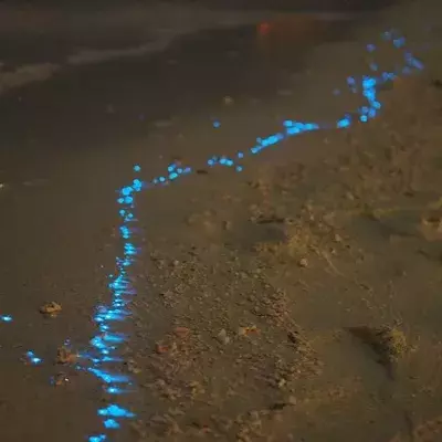Blaues Schimmern am Strand