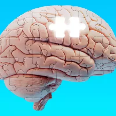 Brain puzzle missing a piece