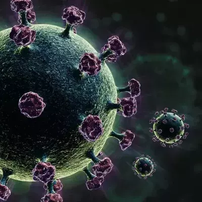 Bretonische Corona-Variante kann angeblich PCR-Test umgehen 