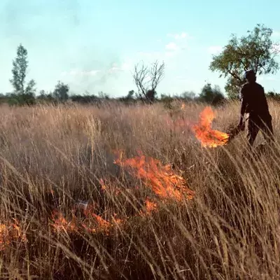 Buschfeuer in Australien: Aborigines haben jahrtausendealte Lösung