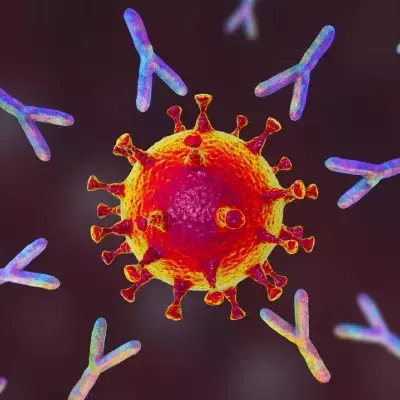 Corona dürfte sich an unserem Immunsystem sogar stärken