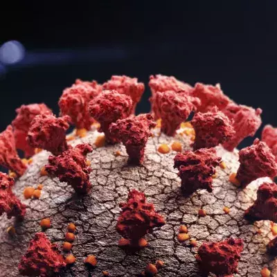 Corona: Warum die Zahlen in Europa wieder so hoch sind