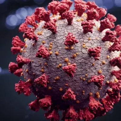 Coronavirus: Unerwartete Schwachstelle könnte ein Medikament ermöglichen