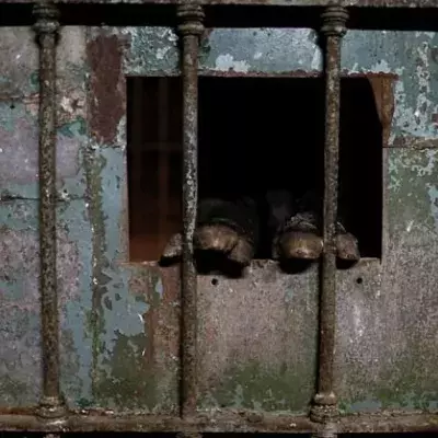 Buenos Aires: Der Zoo ist seit einem Jahr geschlossen, doch viele Tiere sind noch in ihren Käfigen
