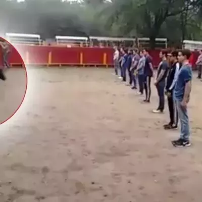 Diese Studenten setzen sich gemeinsam der Gefahr eines Stieres in der Arena aus, um eine Sache zu beweisen (Video)