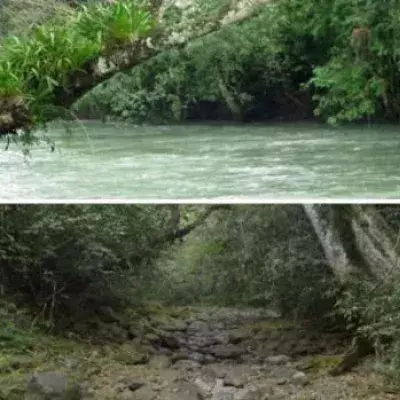 Ein ganzer Fluss vertrocknet in Mexiko innerhalb von nur zwei Tagen