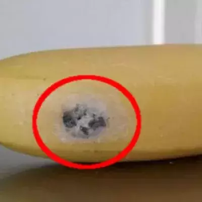 Sie will eine Banane essen und macht dabei eine erschreckende Entdeckung