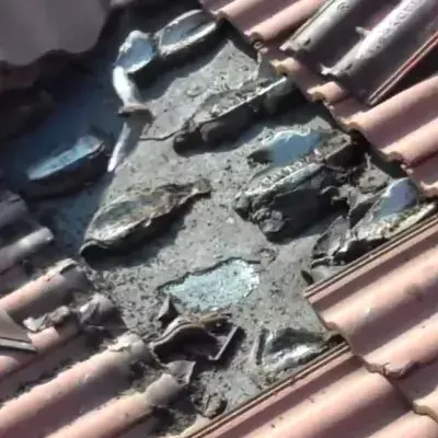 Dachdecker hören Geräusche unter den Ziegeln, dann machen sie eine unglaubliche Entdeckung