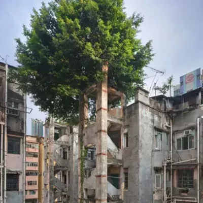 Wenn die Natur ein Stück der Zivilisation zurückgewinnt