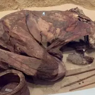Älteste Mumien stammen aus völlig anderer Zeit als angenommen!