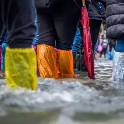 Die Überschwemmungen haben große Teile Deutschlands verwüstet