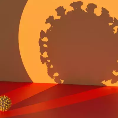 Digital generated image of highlighted coronavirus Covid 19 