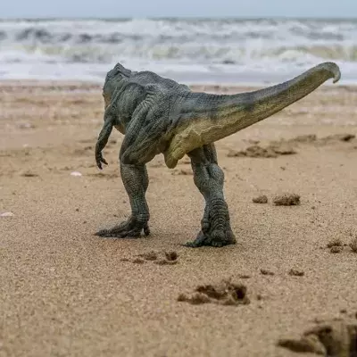 Dino-Fußabdrücke verraten, wie ihre Haut wirklich ausgesehen hat 