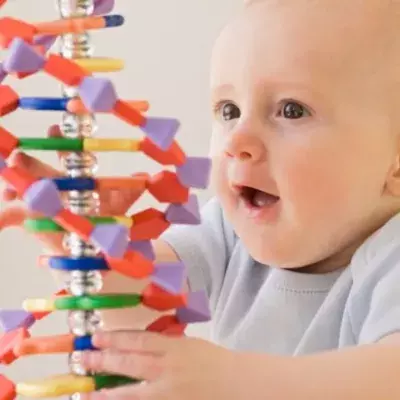DNA gibt Aufschluss über unsere Lebenserwartung