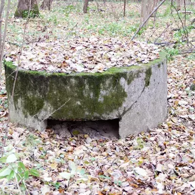 Ein Nazi-Bunker mitten im Wald!
