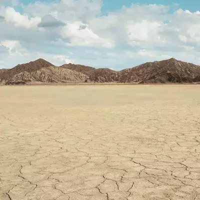 Extrem trockene Wüste: Hier bringt der Regen den Tod