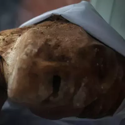 Forscher rekonstruieren die Stimme einer 3000 Jahre alten Mumie!