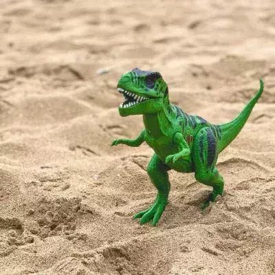 Fossil eines "Enten"-Dinosauriers in der mongolischen Wüste entdeckt
