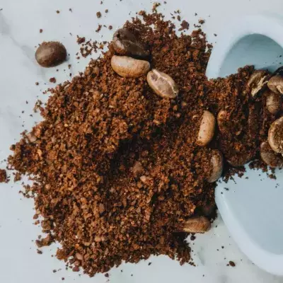 Gemahlener Kaffee enthält gemahlene Kakerlaken