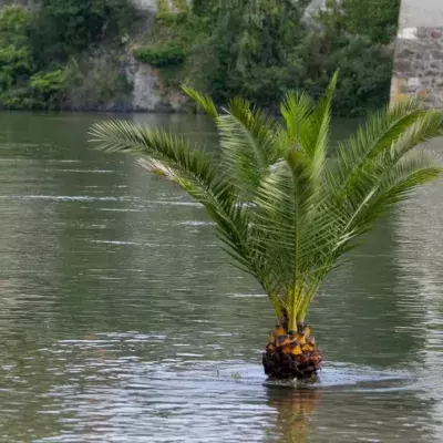Hochwasser kann lebensgefährlich sein