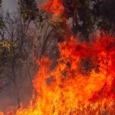 Kalifornien: Seltener Feuertornado wird auf Video festgehalten