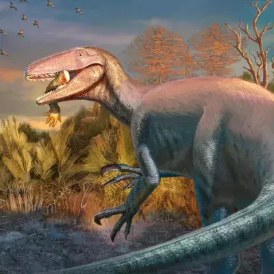Reconstruction artistique d'un "Joaquinraptor casali".