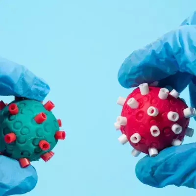 Scientists with surgical gloves holds two different Coronavirus of different color in the hand