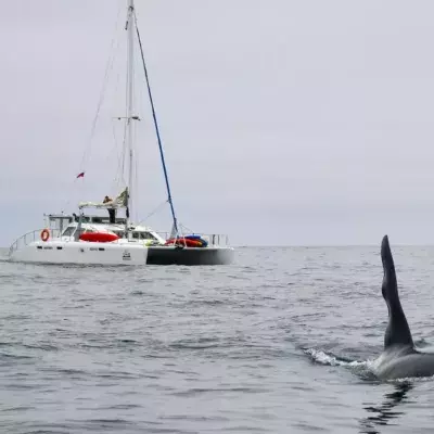Segelboot im Visier!