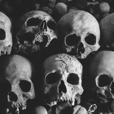 Seltsame Funde: Diese Schädel enthüllen erschreckende Praktiken