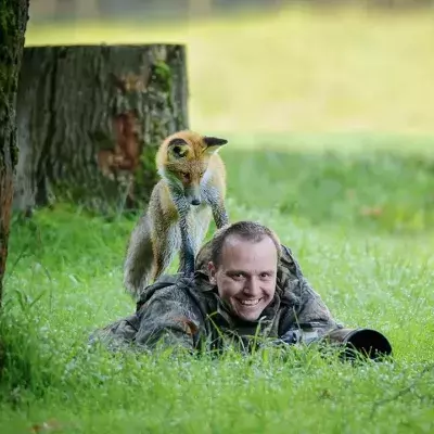 Tierforscher beobachten beängstigendes Verhalten an Waldtieren