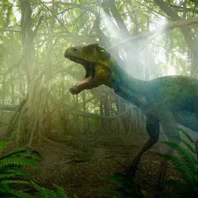 Unglaubliche Entdeckung: In Australien wird ein seltener Dinosaurier gefunden