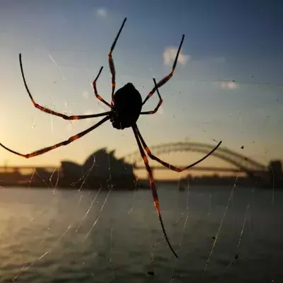 Urlauber in Griechenland werden Zeuge eines gruseligen Naturschauspiels.