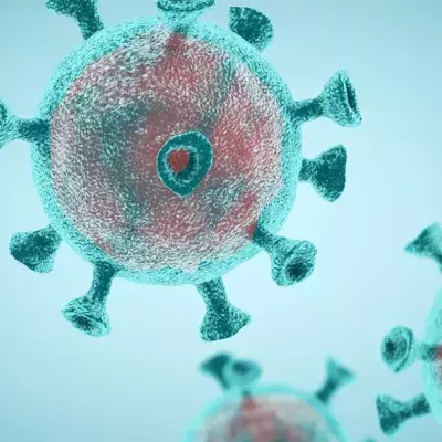 Virus