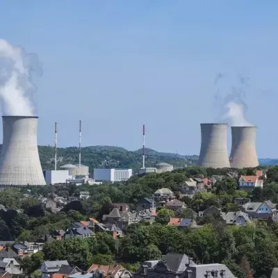 "Wir haben die Hypothese aufgestellt" – das Geheimnis der Fukushima-Schweine entschlüsselt