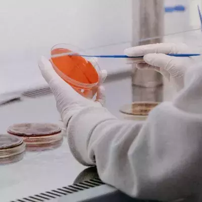 Wissenschaftler entdecken entzündliches Protein