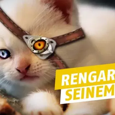 League of Legends: Riot erwägt mehrere Nerfs für Rengar auf dem kommenden Patch