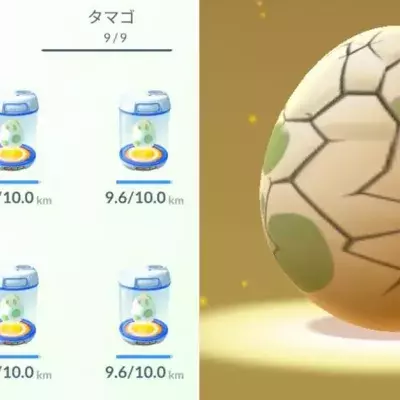 Auf Level 38 brütet er neun 10-km-Eier auf einmal aus. Was dann passiert...