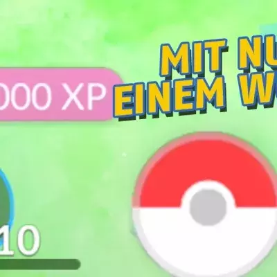 Diese GENIALE KOMBI machts möglich und euer Trainer-Level steigt sofort!