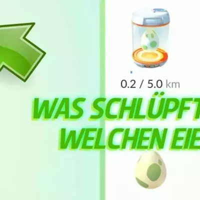 Ihr werdet euch bald nicht mehr über 2-km-Eiern ärgern, denn...