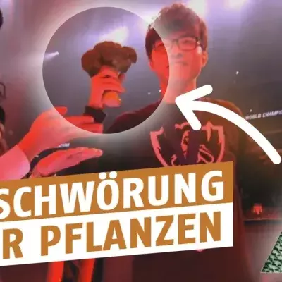 League of Legends: Verrückte Theorie! Rune Warp erklärt die Rolle der Pflanzen im Dschungel