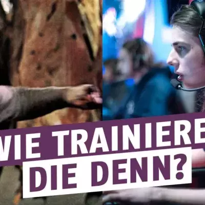 League of Legends: Enthüllt! Team Albus NoX mit ganz speziellem Training