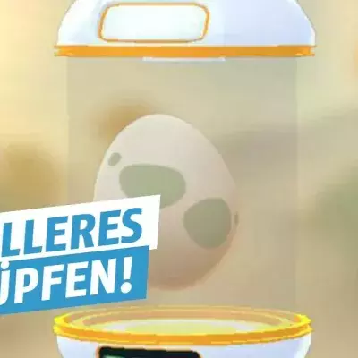 Pokémon GO: Dank des Updates können eure Eier nun schneller schlüpfen