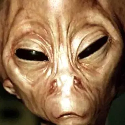 Anonymous: NASA steht kurz vor der Entdeckung von außerirdischem Leben