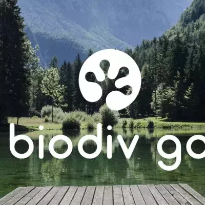 Pokémon GO: Neue Umwelt-App kopiert das Spielprinzip von Niantic