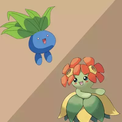 Pokémon GO: Für diese Pokémon der zweiten Generation braucht ihr Bonbons