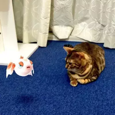 Pokémon GO: Verrückt! Diese Japaner glauben, ihre Tiere können Pokémon sehen
