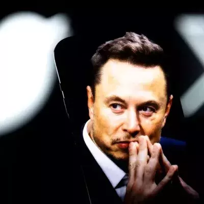 Elon Musk will den berühmten Twitter-Vogel abschaffen