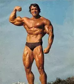3. Arnold Schwarzenegger: Der Bodybuilder war dreimal Mr Olympia zwischen 1970 und 1975. Danach widmete er sich seiner Schauspiel-Karriere, bevor er Gouverneur von Kalifornien im Jahre 2003 wurde.