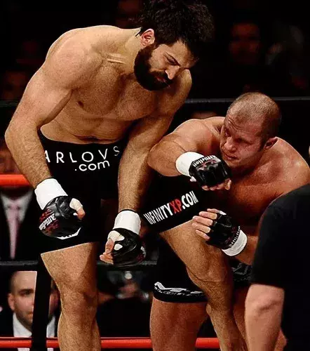 3. Fedor Emelianenko vs. Andrei Arlovski Affliction „Day of Reckoning“, 24. Januar 2009, Anaheim
