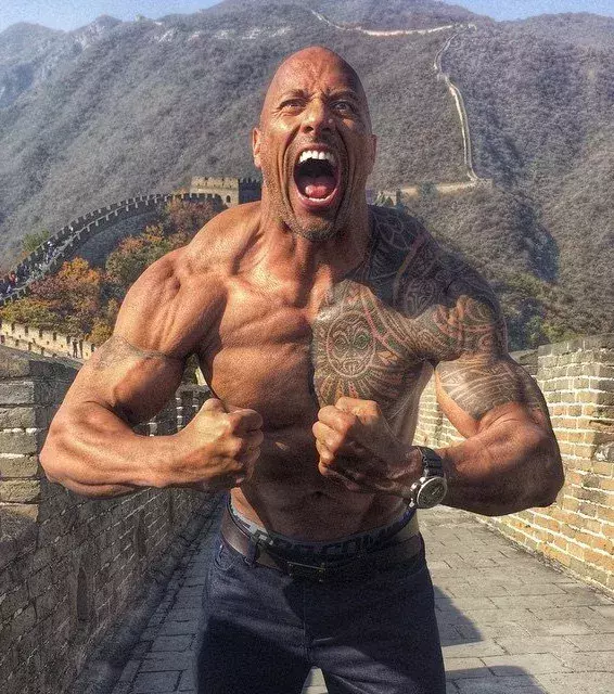 7. Dwayne Johnson: Ehemaliger WWE-Catcher, der sogar den Weltmeister-Titel gewonnen hat. Seitdem widmet er sich seiner Schauspielkarriere mit großem Erfolg.